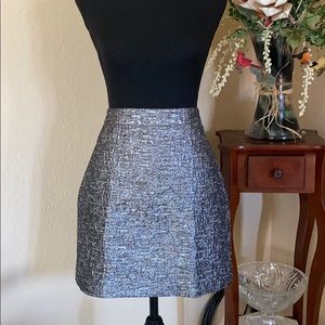 Banana Republic Sparkly Metalic Skirt